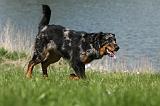 BEAUCERON 612